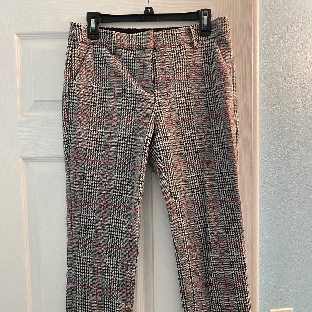 Express dress pants
